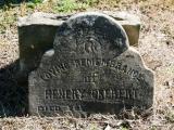 image of grave number 667527